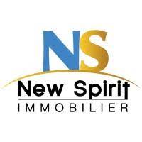 NEW SPIRIT IMMOBILIER