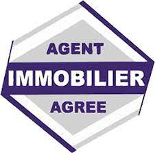 AGENCE IVOIRE IMMOBILIER SARLU
