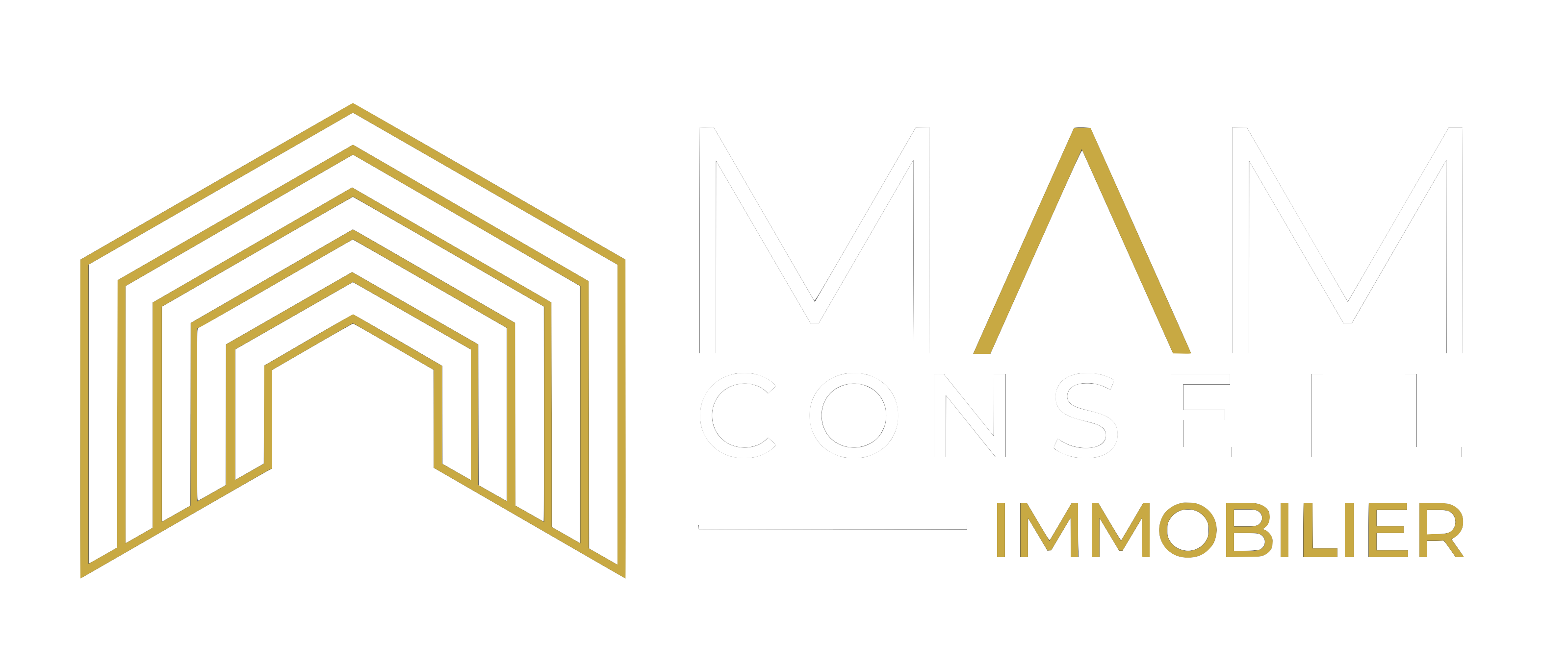 MAM CONSEIL