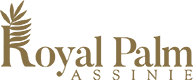 ROYAL PALM D'ASSINIE